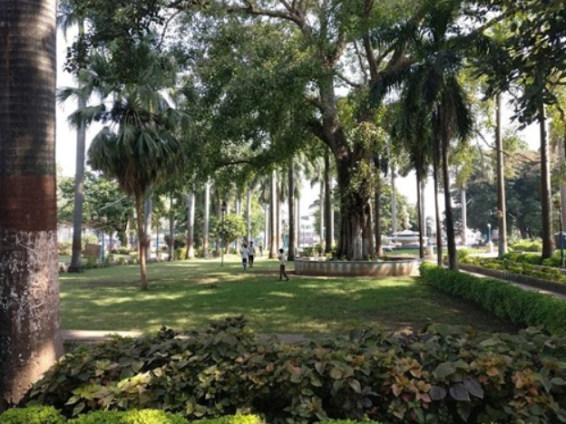 Kamla Park, Bhopal, Madhya Pradesh - Vushii.com Kamla Park, Bhopal, Madhya Pradesh - Vushii.com